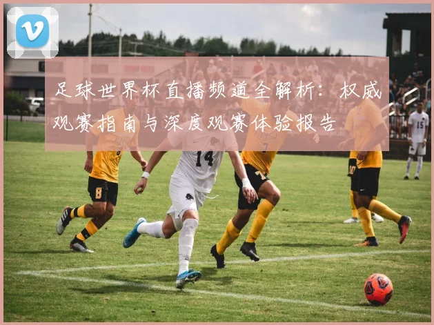 足球世界杯直播频道全解析：权威观赛指南与深度观赛体验报告
